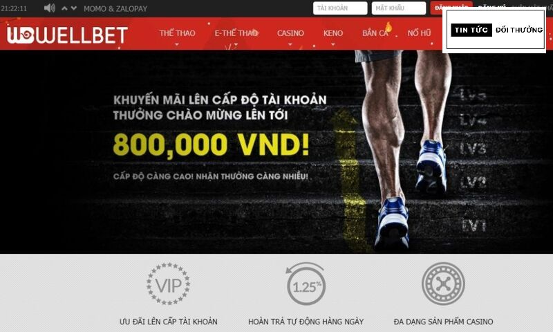 Wellbet - Giới thiệu không gian trải trí đẳng cấp nhất hiện nay